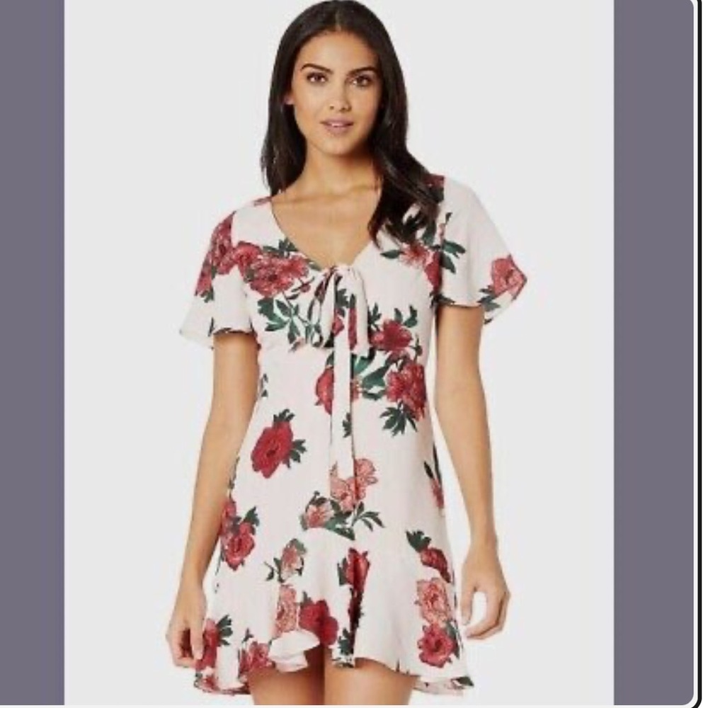 NWOT BB Dakota Womens Beverly Hills Floral Mini Dress In Pink Poplin Rose Size 8